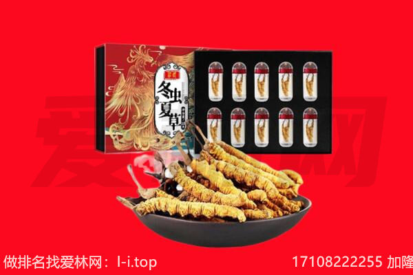 辽阳市白塔回收虫草.jpg